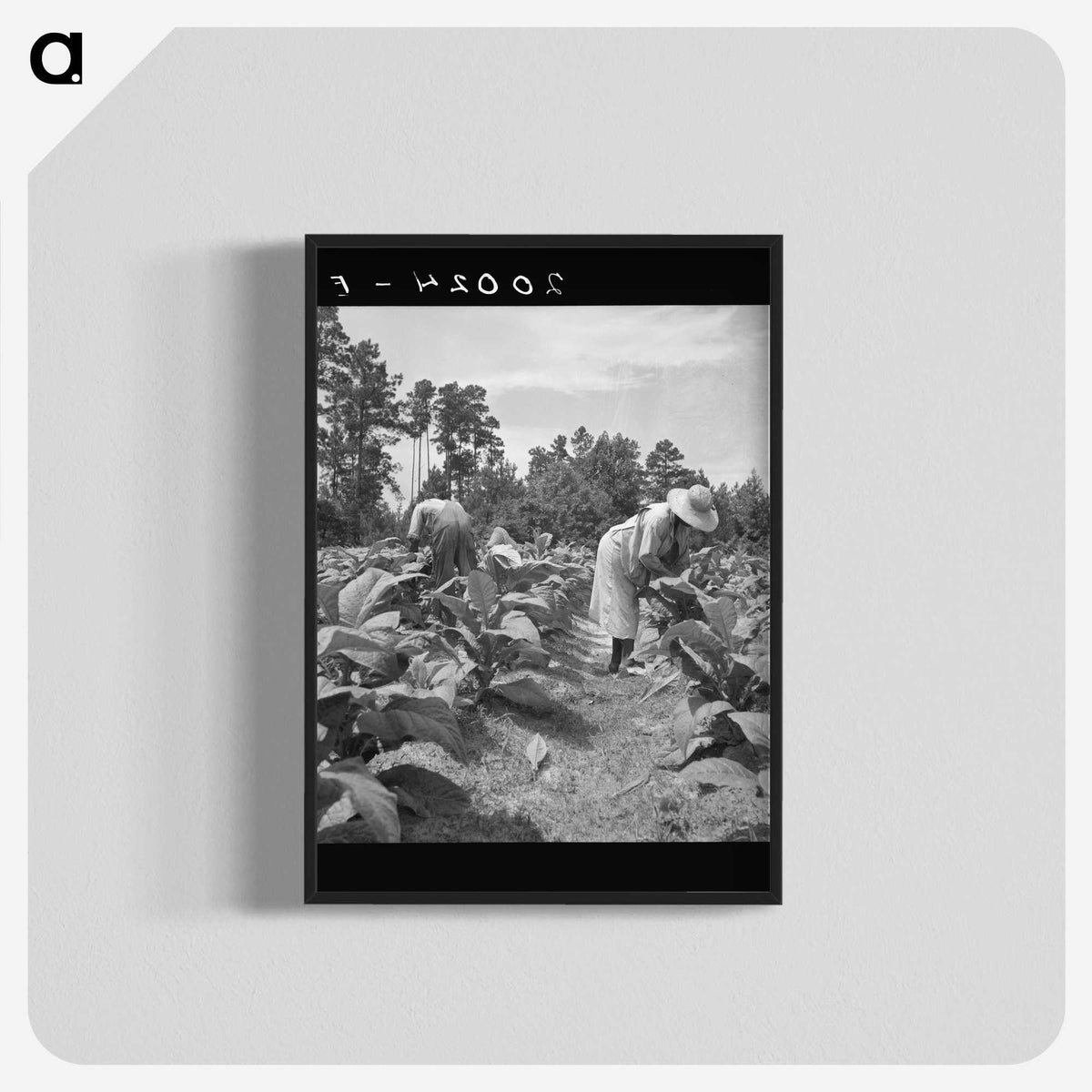 3-9_Dorothea-Lange_blk-crop
