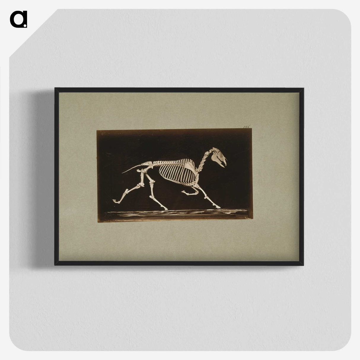 3-9_Eadweard-Muybridge_blk-crop