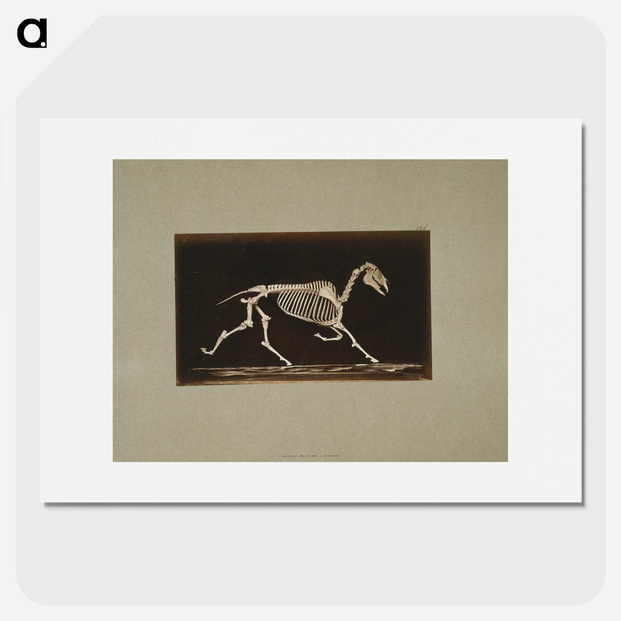 3-9_Eadweard-Muybridge_picture