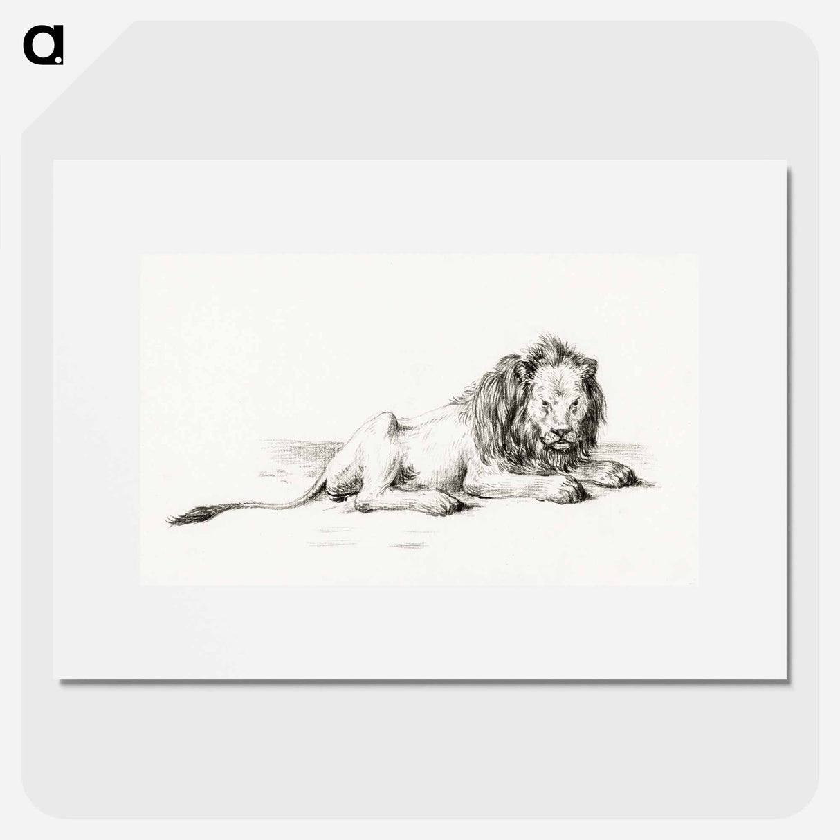 Lying lion - ジャン ベルナール Poster.