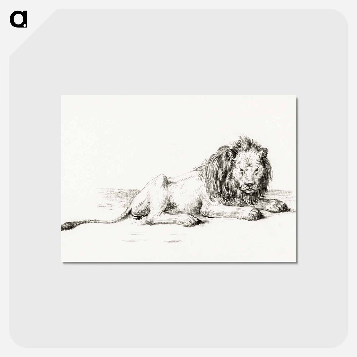 アートポストカード-Lying lion - ジャン ベルナール Postcard.