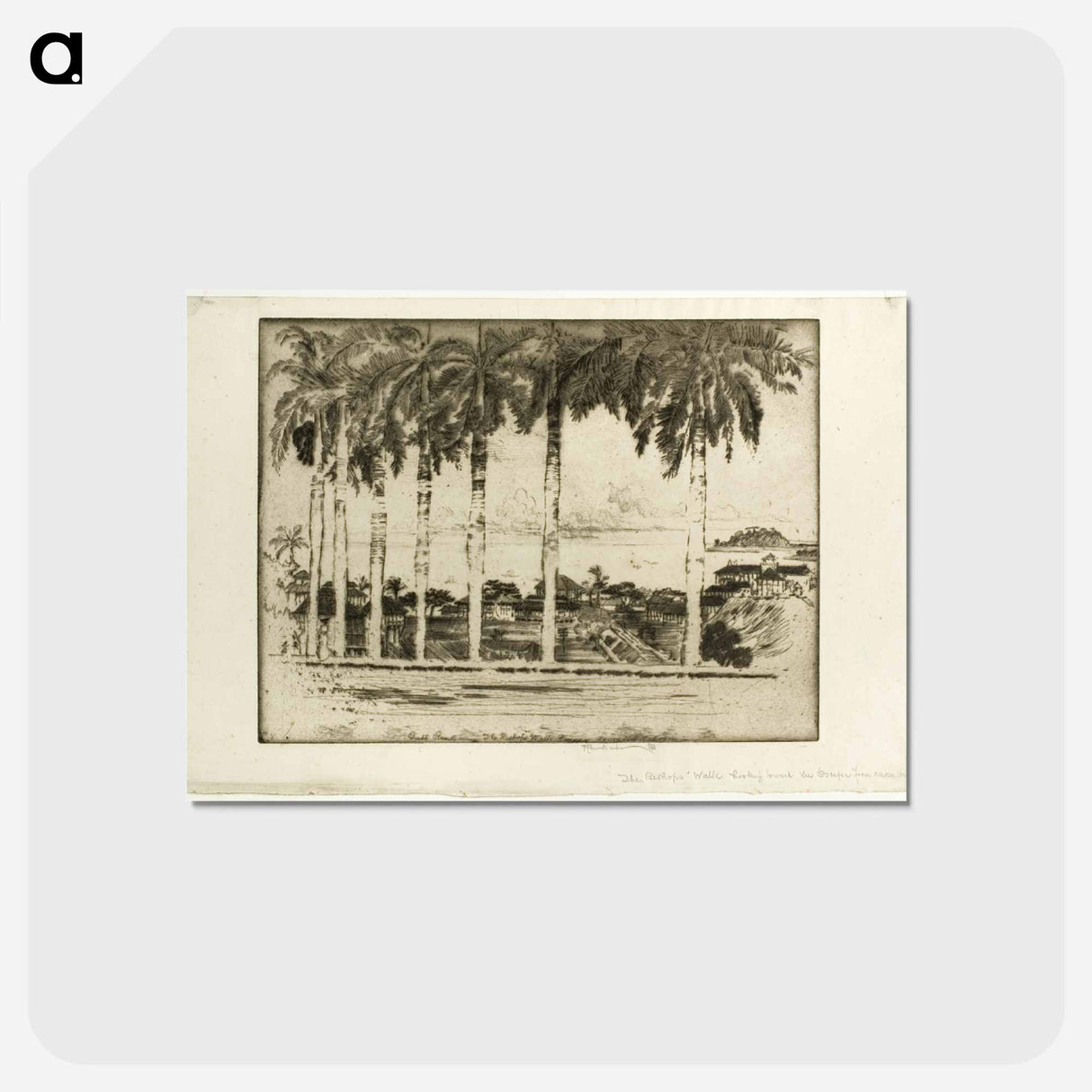 アートポストカード-Bishops Walk, Ancon Hill, Panama
- ジョセフ ペネル Postcard.