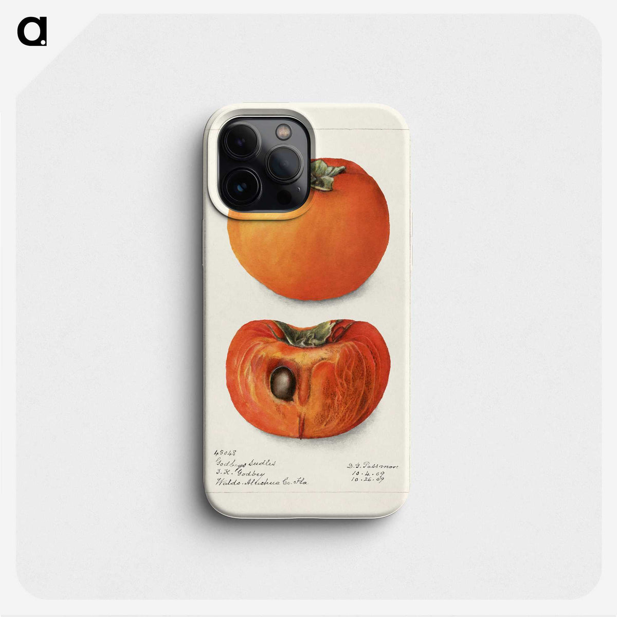 3-9_USDA-Watercolor-Fruit-Painting-Collection_phone