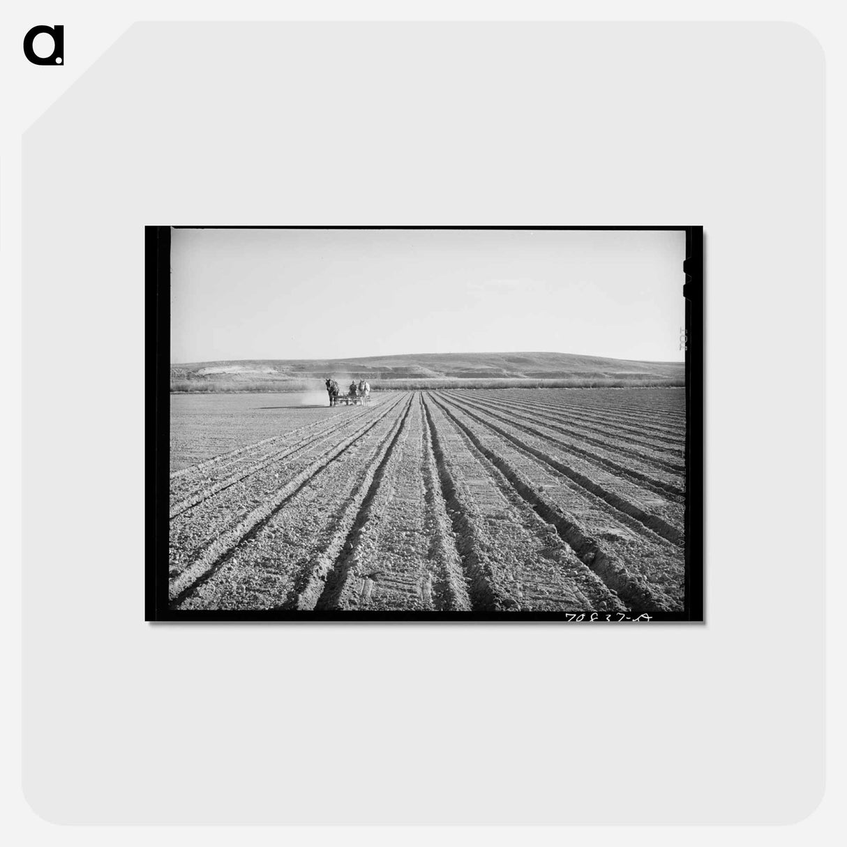 アートポストカード-Discing the Land, Idaho
- ラッセル リー Postcard.