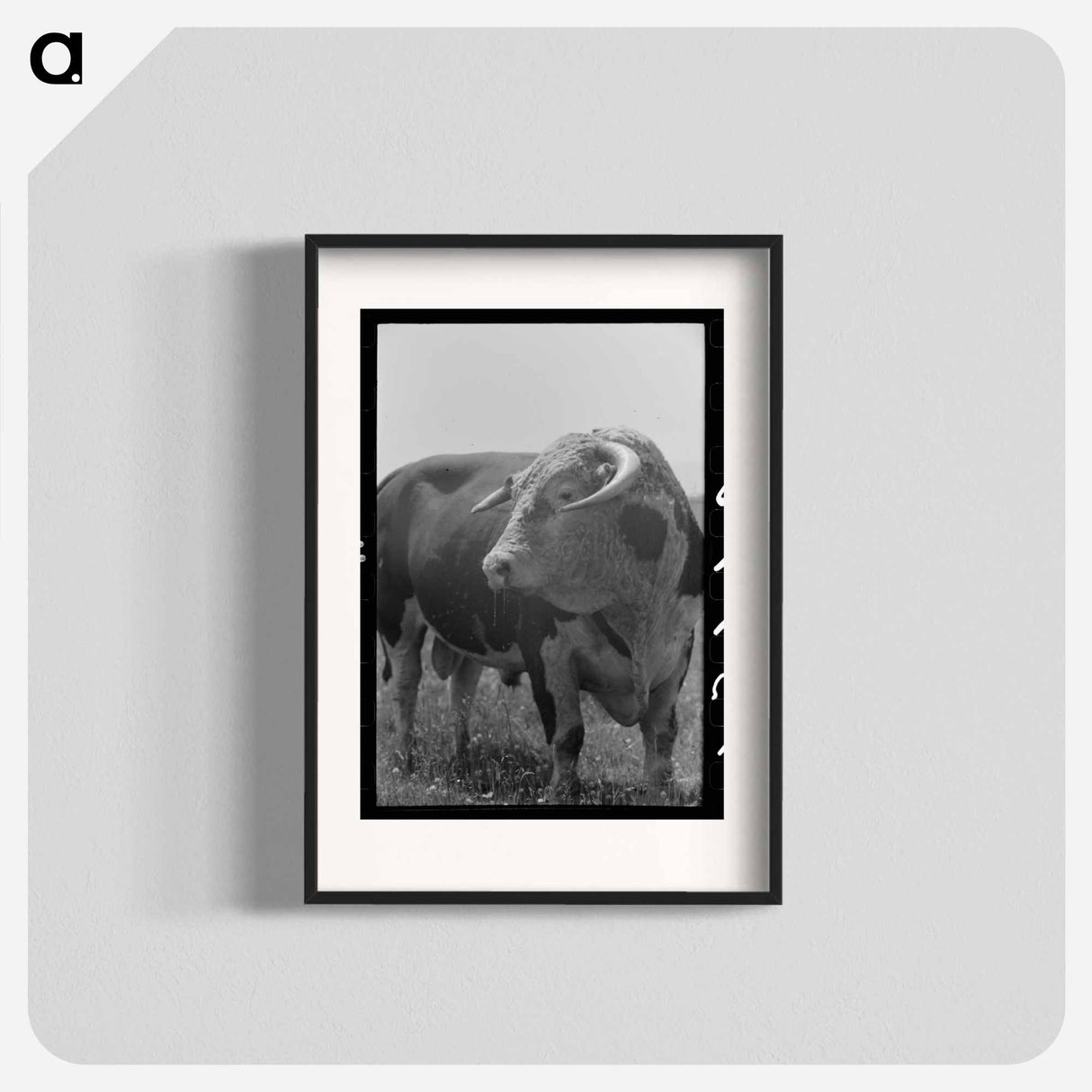 アートポスター-Bull's Head, Cruzen Ranch
- ラッセル リー Poster.