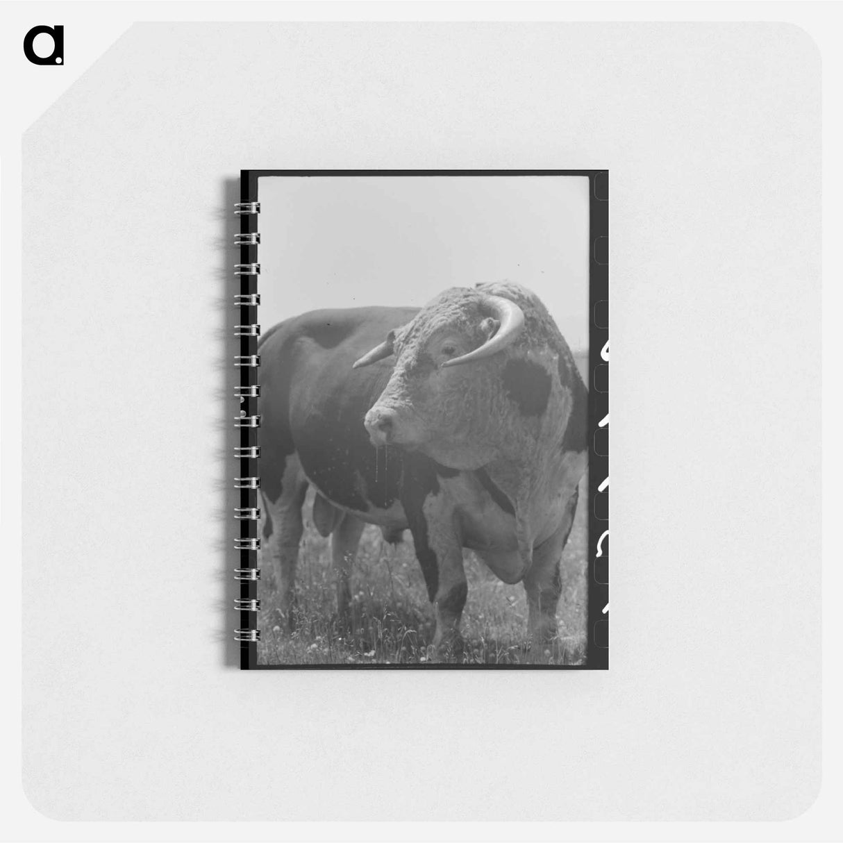 アートメモ帳-Bull's Head, Cruzen Ranch
- ラッセル リー Memo.