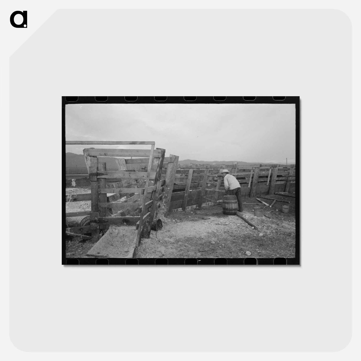 アートポストカード-Cattle with Hoof Rot
- ラッセル リー Postcard.