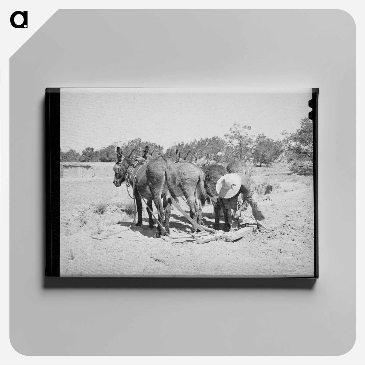 アートパネル-Mr. Leatherman's Burros
- ラッセル リー Canvas.