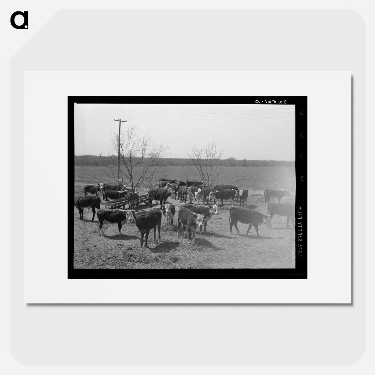 アートポスター-Cattle at Feeding Trough
- ラッセル リー Poster.