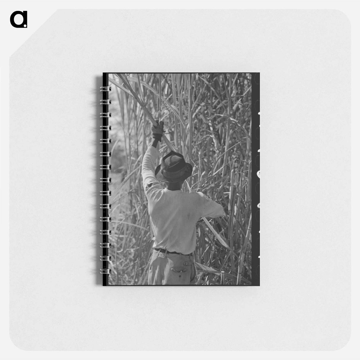 アートメモ帳-Sugarcane Harvest
- ラッセル リー Memo.