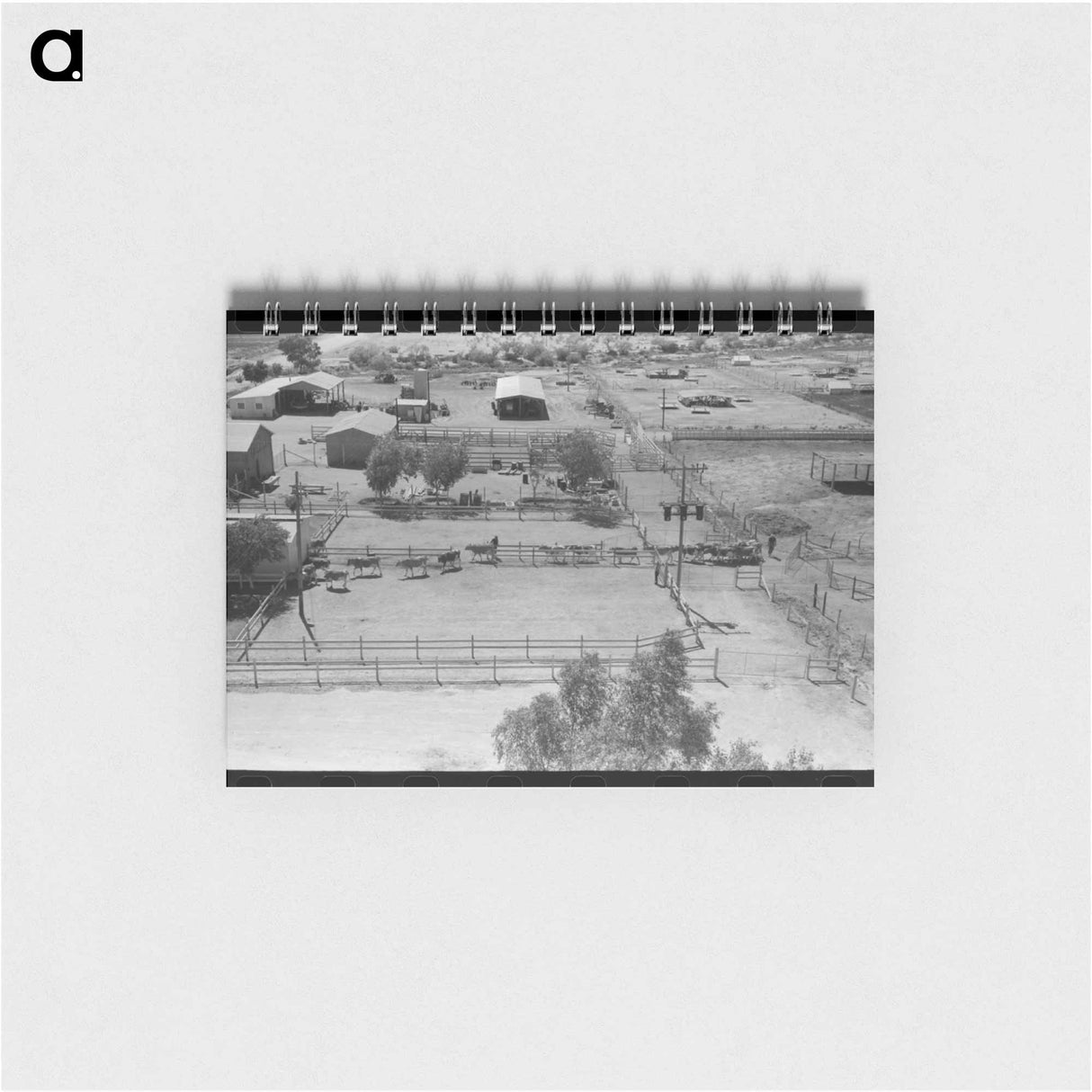 アートメモ帳-Casa Grande Valley Dairy
- ラッセル リー Memo.
