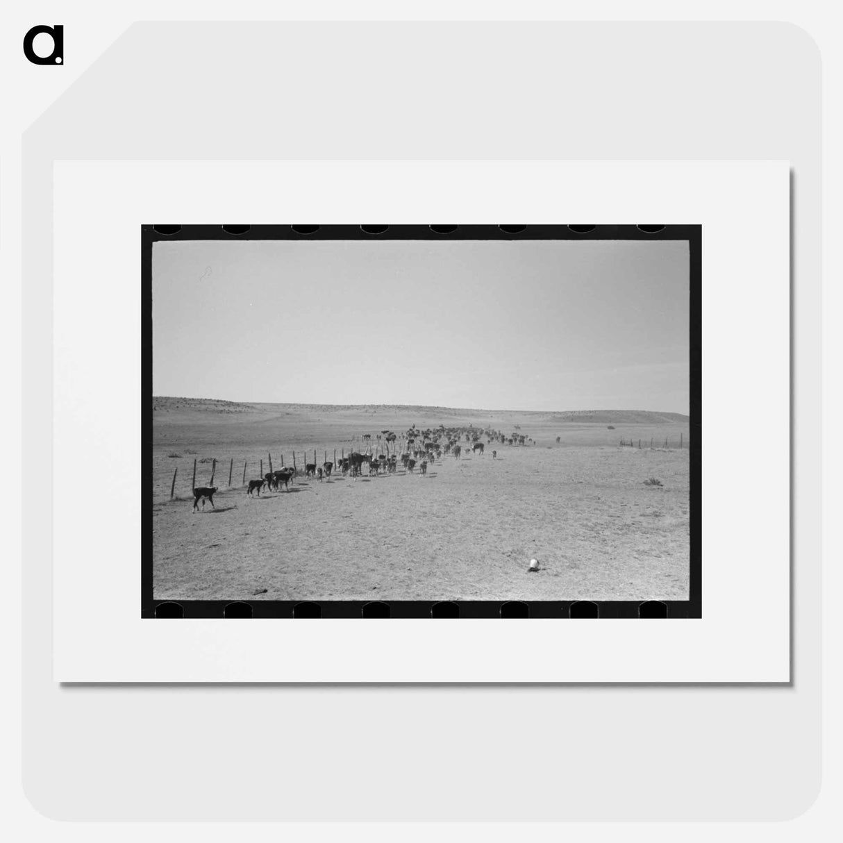 アートポスター-Cattle Roundup Near Marfa
- ラッセル リー Poster.