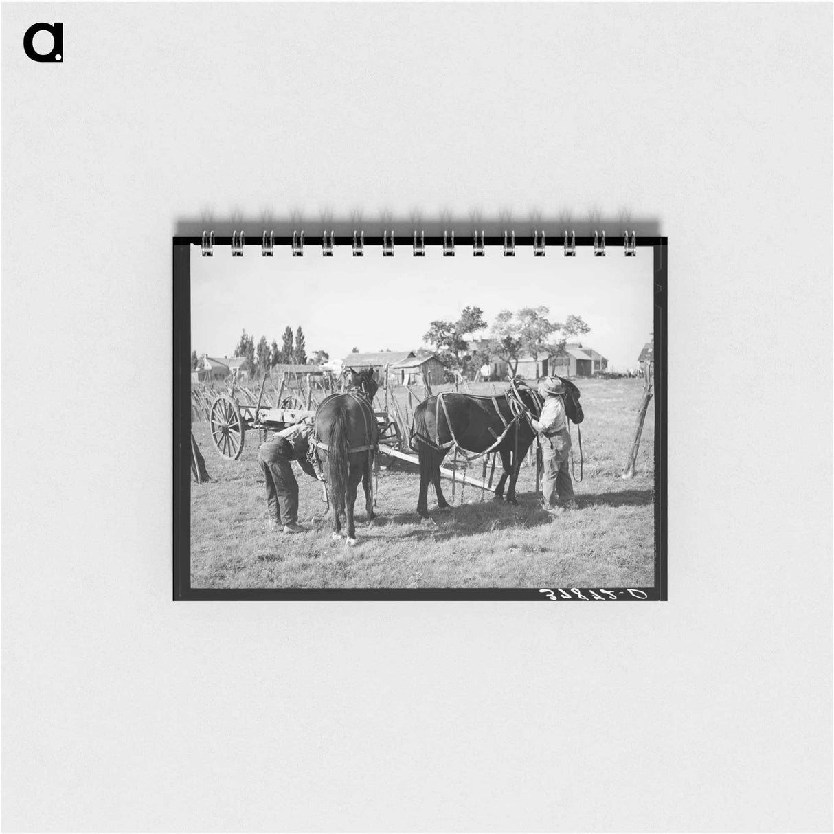 アートメモ帳-Harnessing Horses, Concho, Arizona
- ラッセル リー Memo.