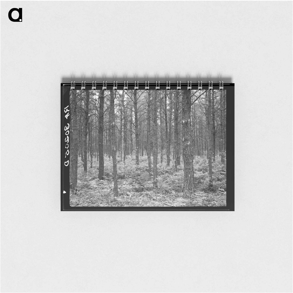 アートメモ帳-Jack Pine Stand, Black River Falls
- ラッセル リー Memo.