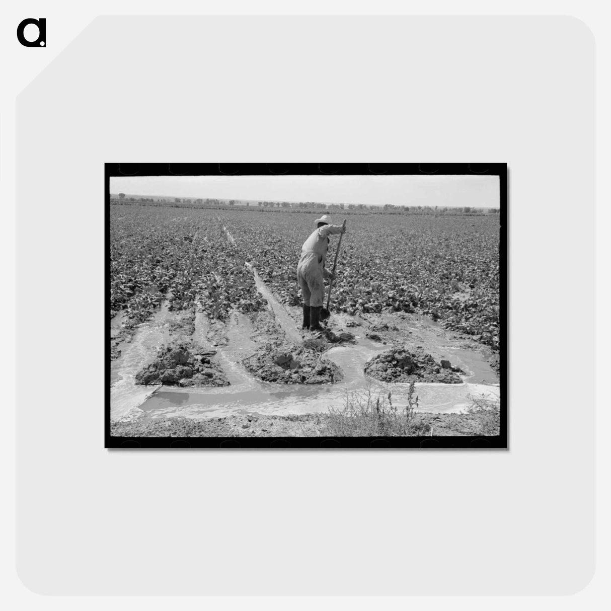 アートポストカード-Irrigating Sugar Beets
- ラッセル リー Postcard.