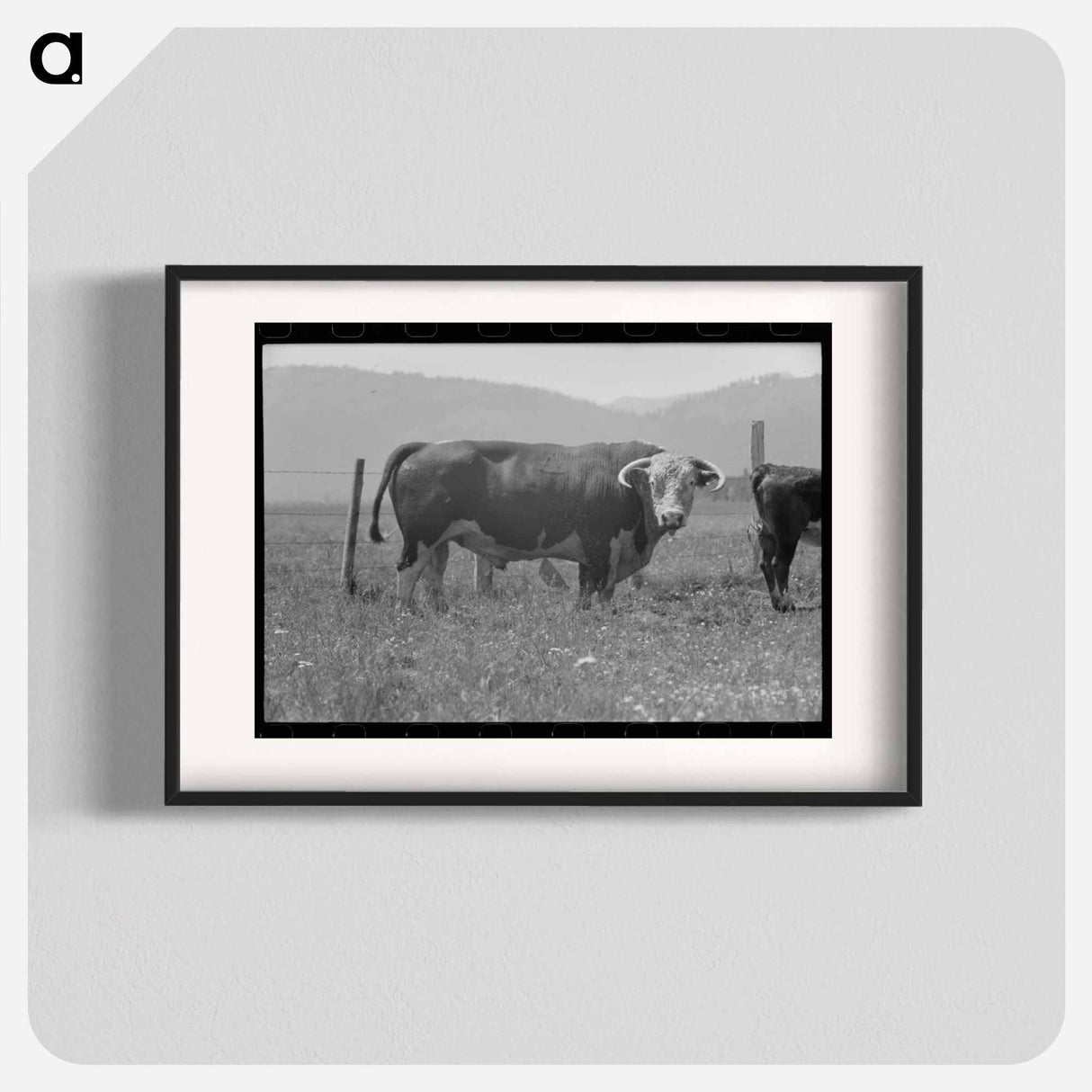アートポスター-Bull's Head, Cruzen Ranch
- ラッセル リー Poster.