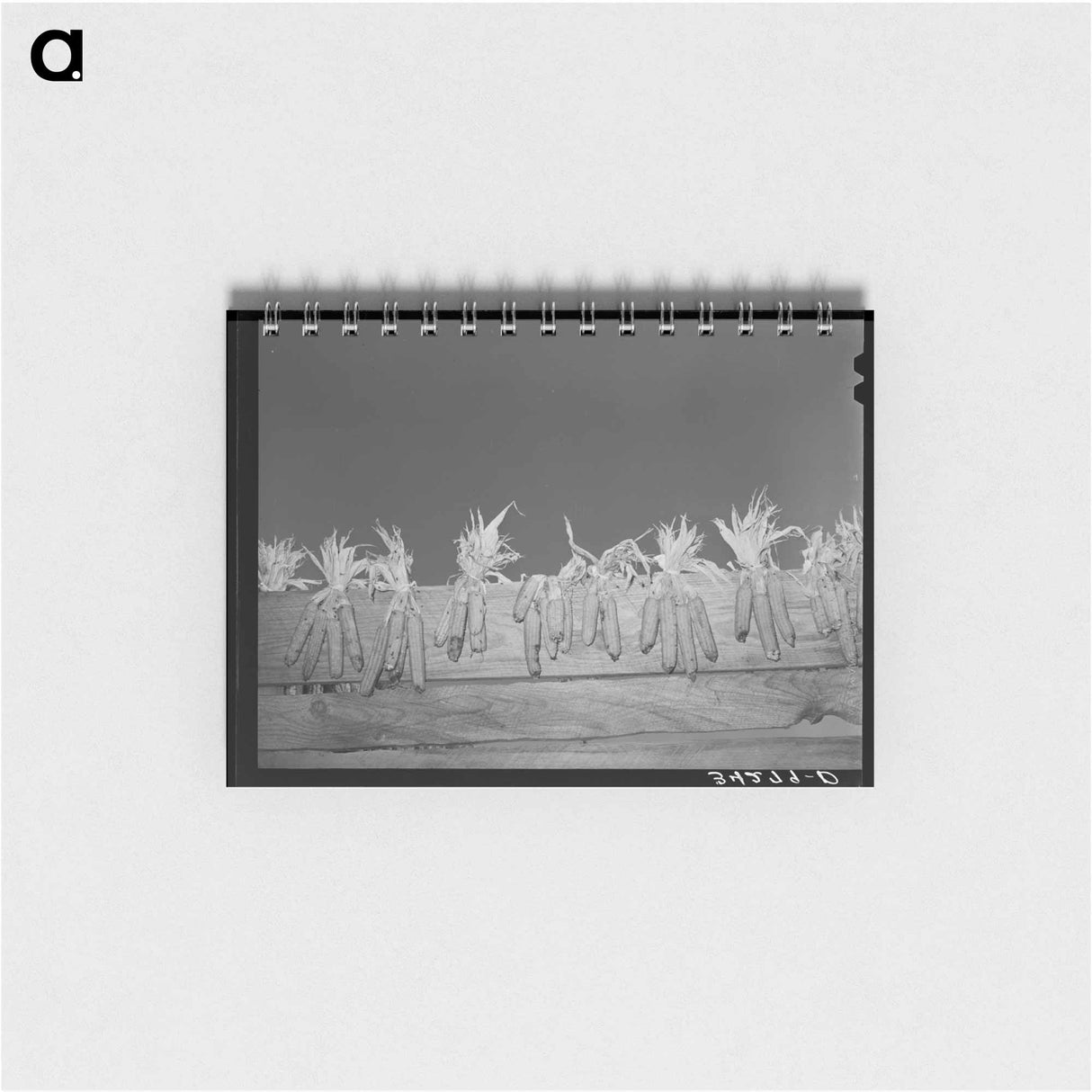 アートメモ帳-Corn Drying on Board Fence
- ラッセル リー Memo.