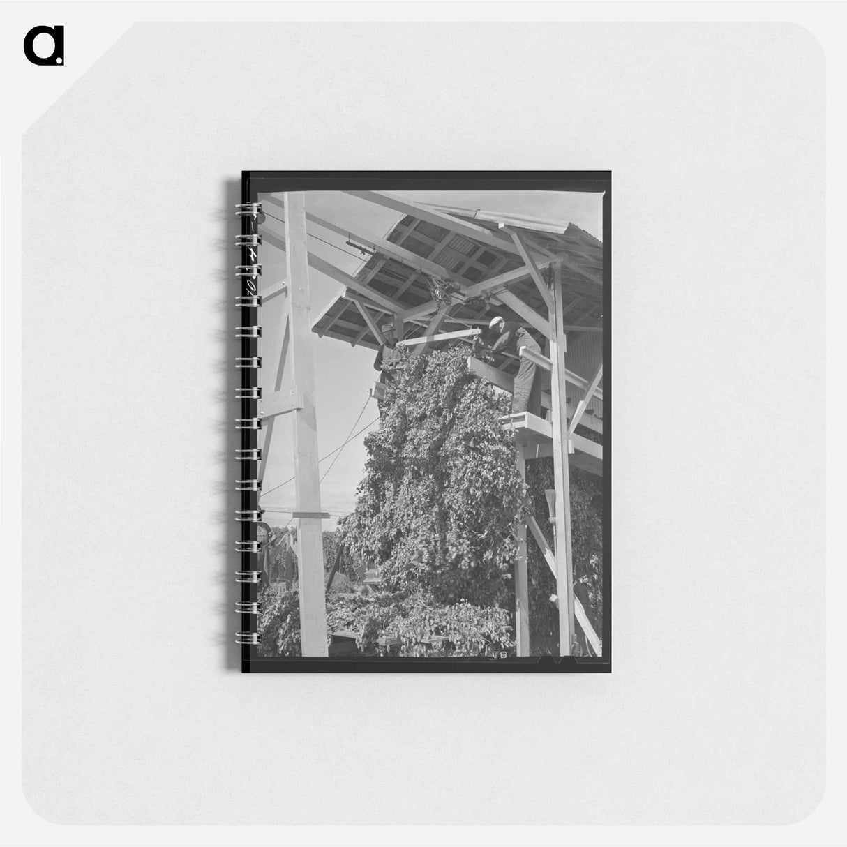 アートメモ帳-Hop Picker
- ラッセル リー Memo.