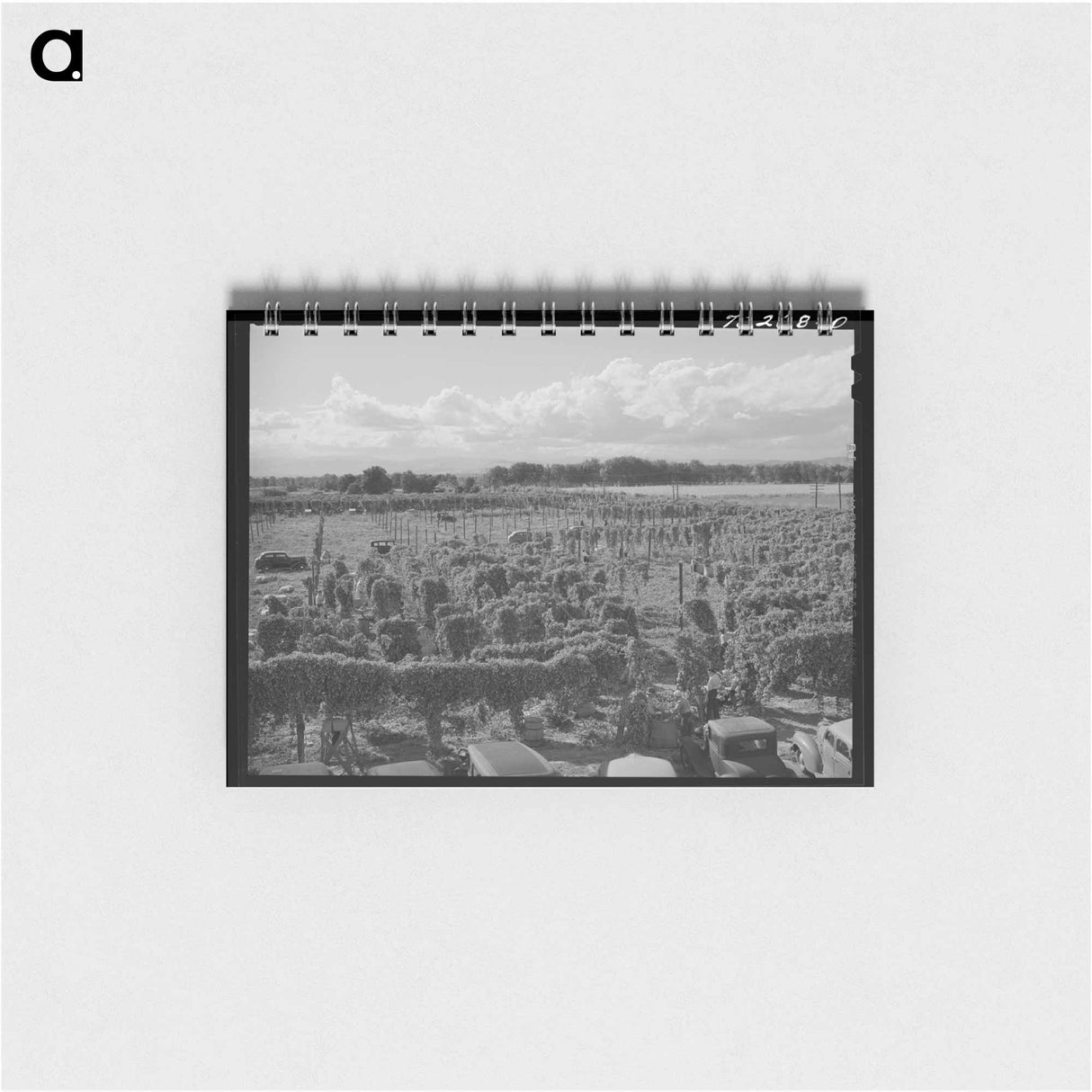 アートメモ帳-Hop Field, Yakima County
- ラッセル リー Memo.