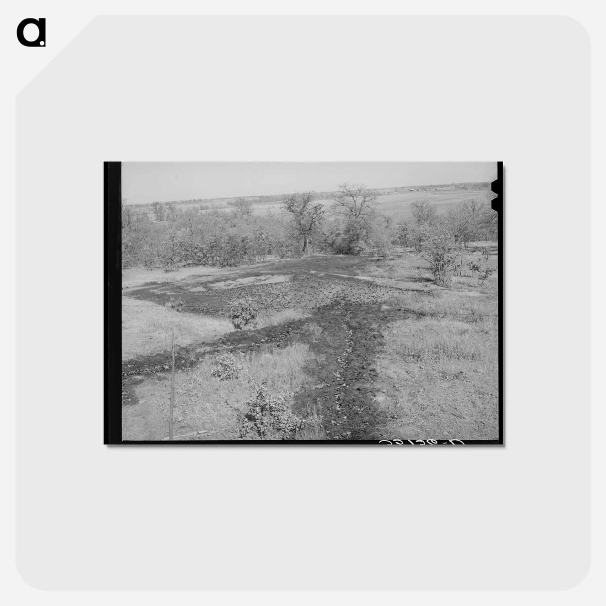 アートポストカード-Oil Draining into Slush Pit
- ラッセル リー Postcard.