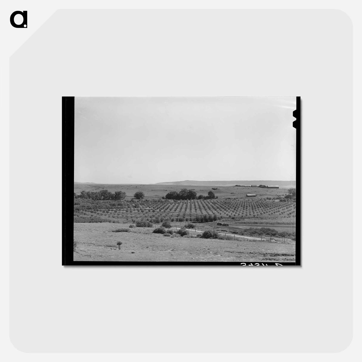 アートポストカード-Orchard. Mora River Valley
- ラッセル リー Postcard.