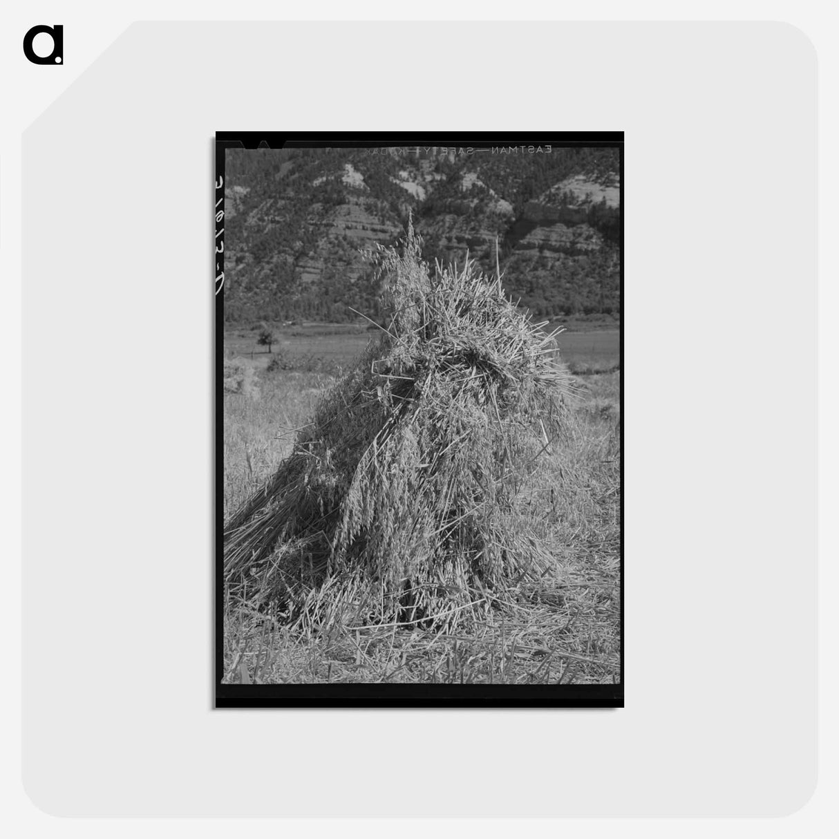 アートポストカード-Oats in the Shock
- ラッセル リー Postcard.