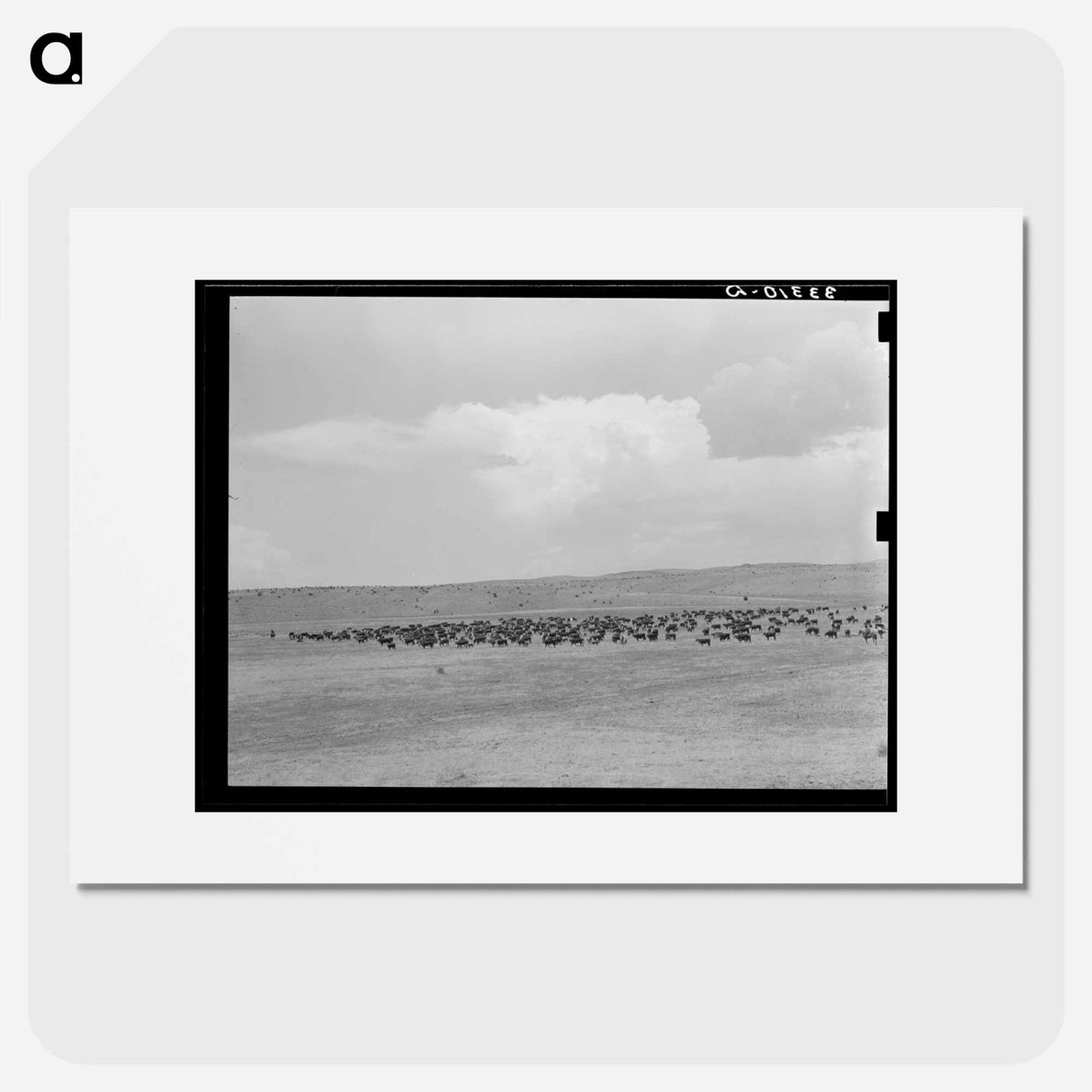 アートポスター-Cattle Roundup Near Marfa
- ラッセル リー Poster.