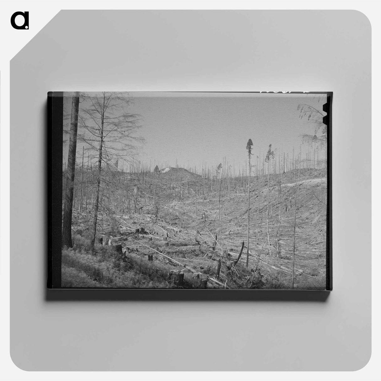 アートパネル-Cut-over Forest Land
- ラッセル リー Canvas.