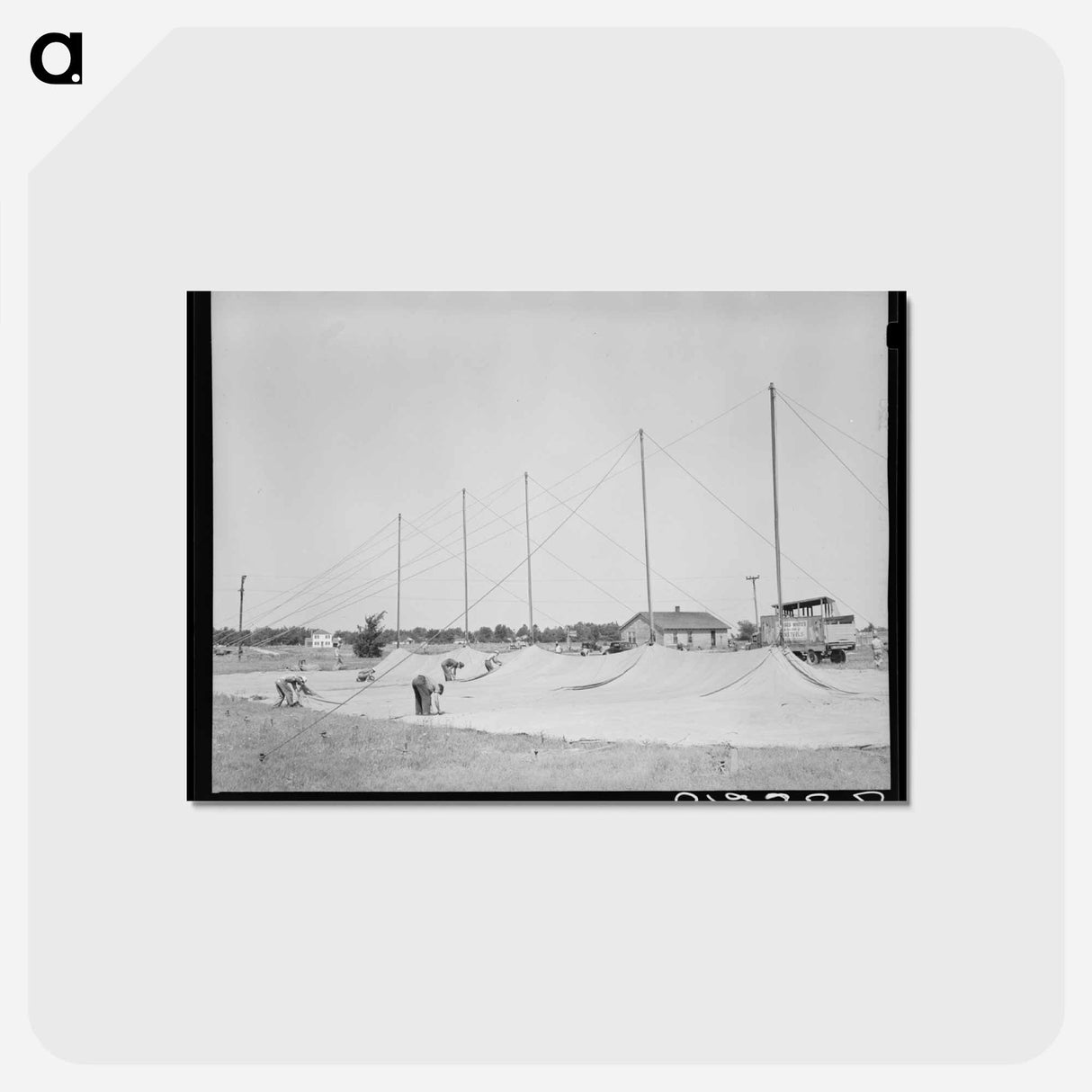 アートポストカード-Erecting Tent
- ラッセル リー Postcard.