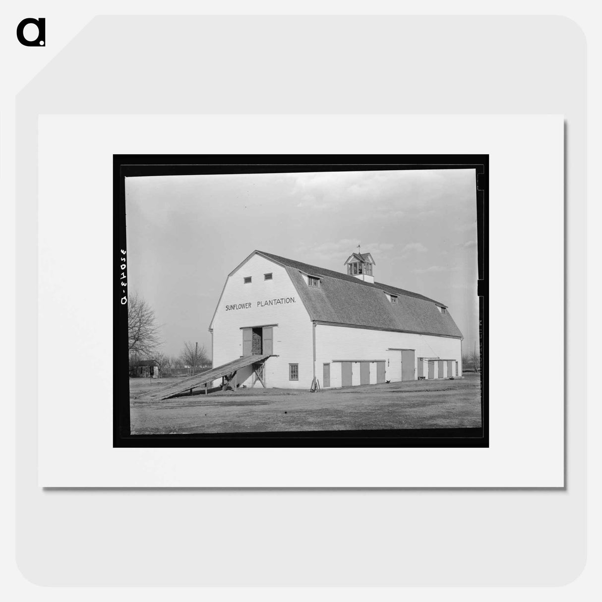 アートポスター-Barn. Sunflower Plantation, Mississippi
- ラッセル リー Poster.