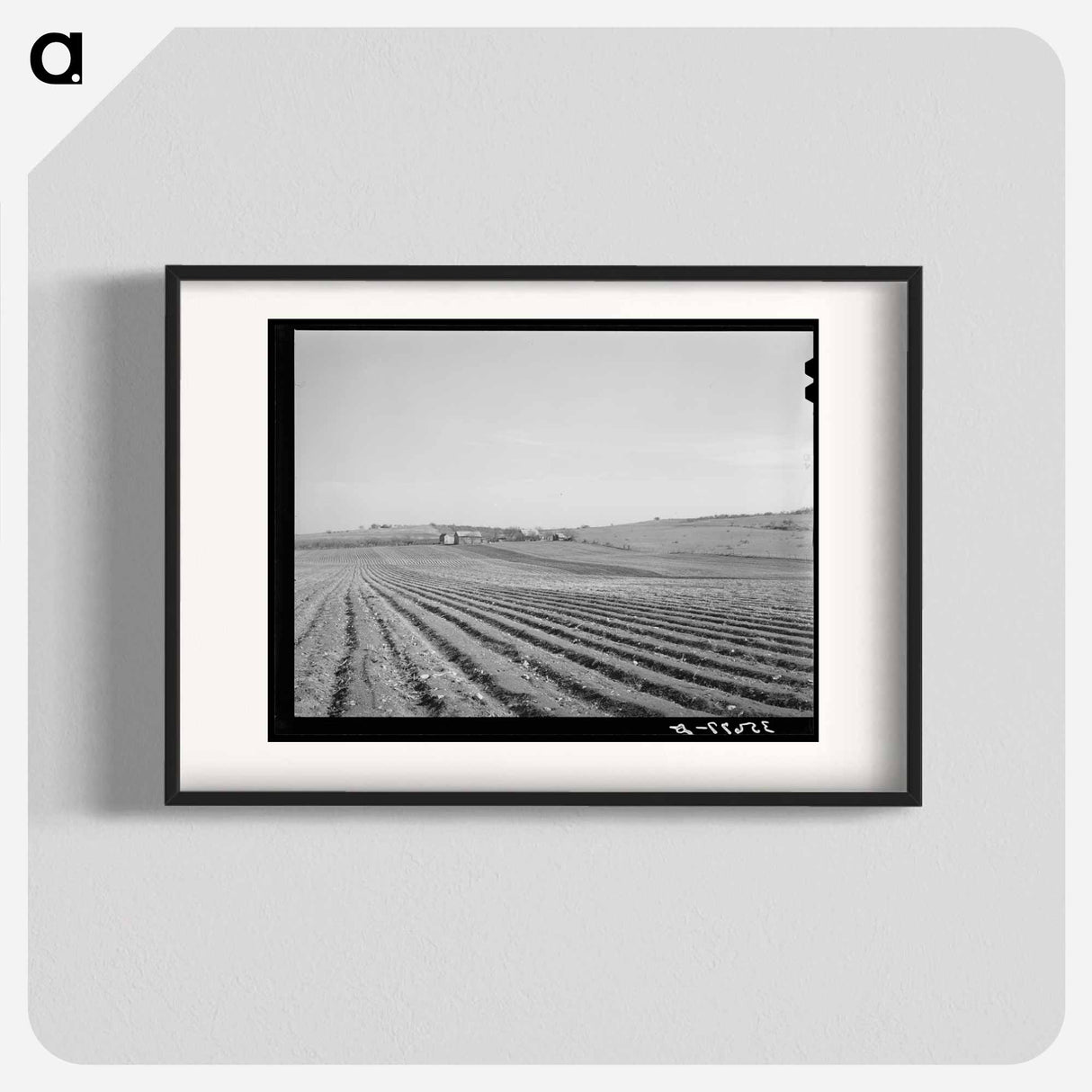 アートポスター-Bexar County Cotton Fields
- ラッセル リー Poster.
