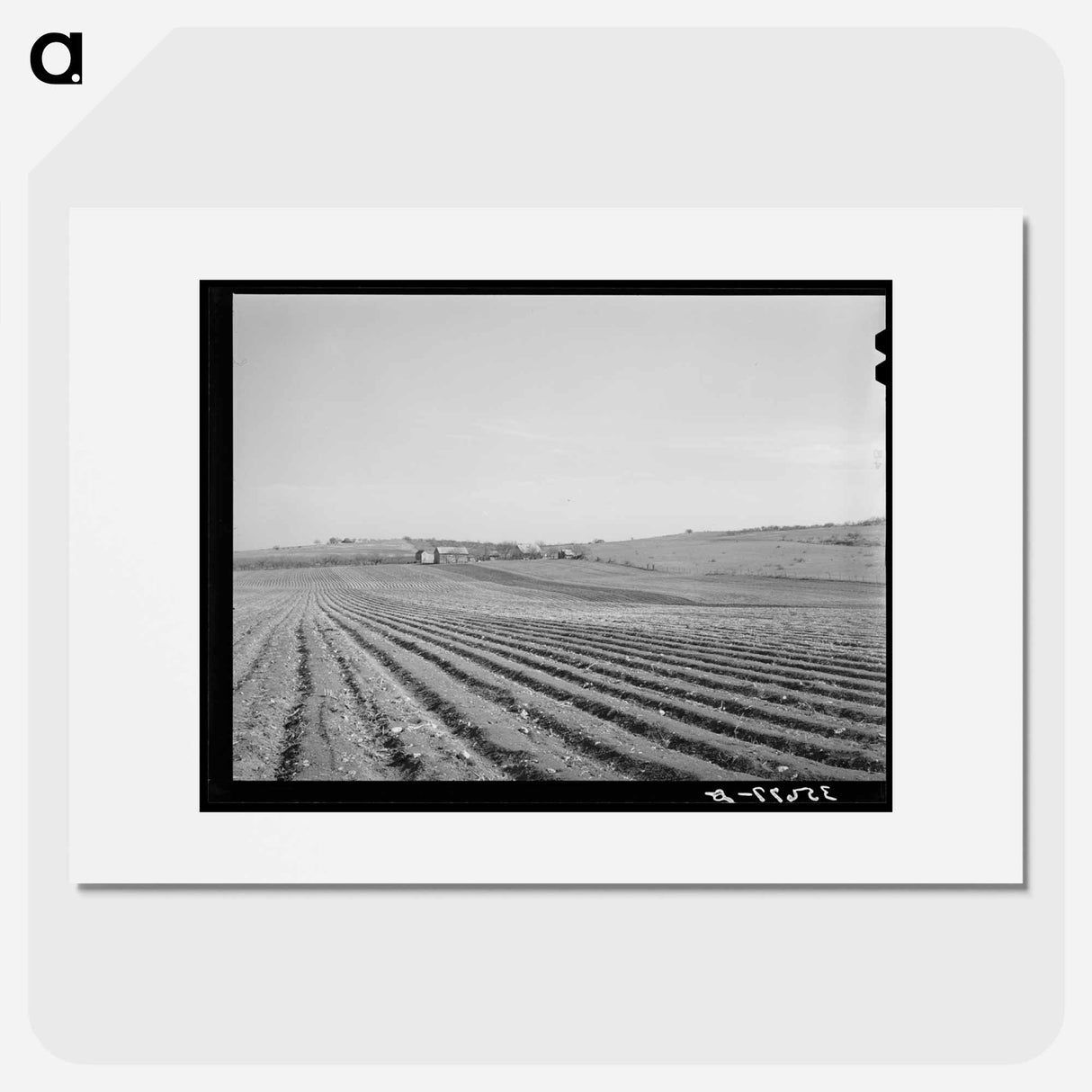 アートポスター-Bexar County Cotton Fields
- ラッセル リー Poster.