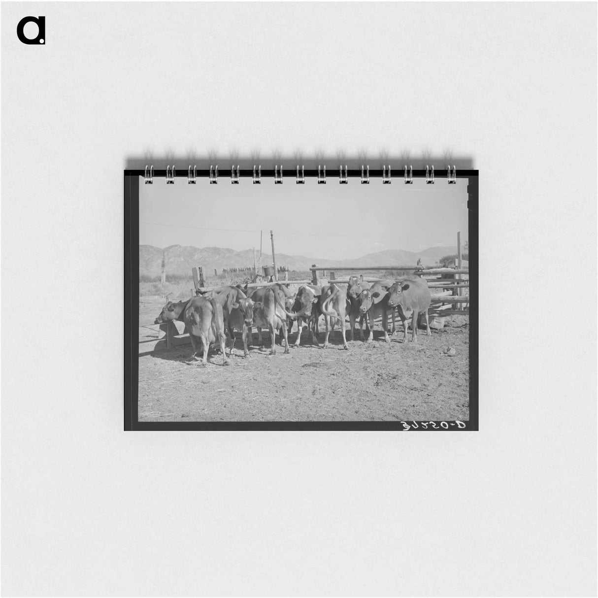 アートメモ帳-Herd of Dairy Cows
- ラッセル リー Memo.