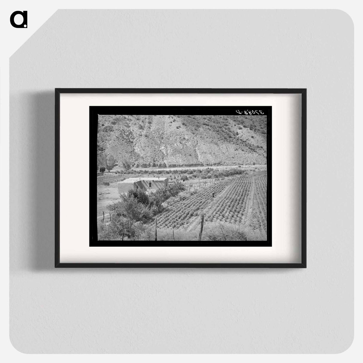 アートポスター-Adobe House and Chili Field
- ラッセル リー Poster.