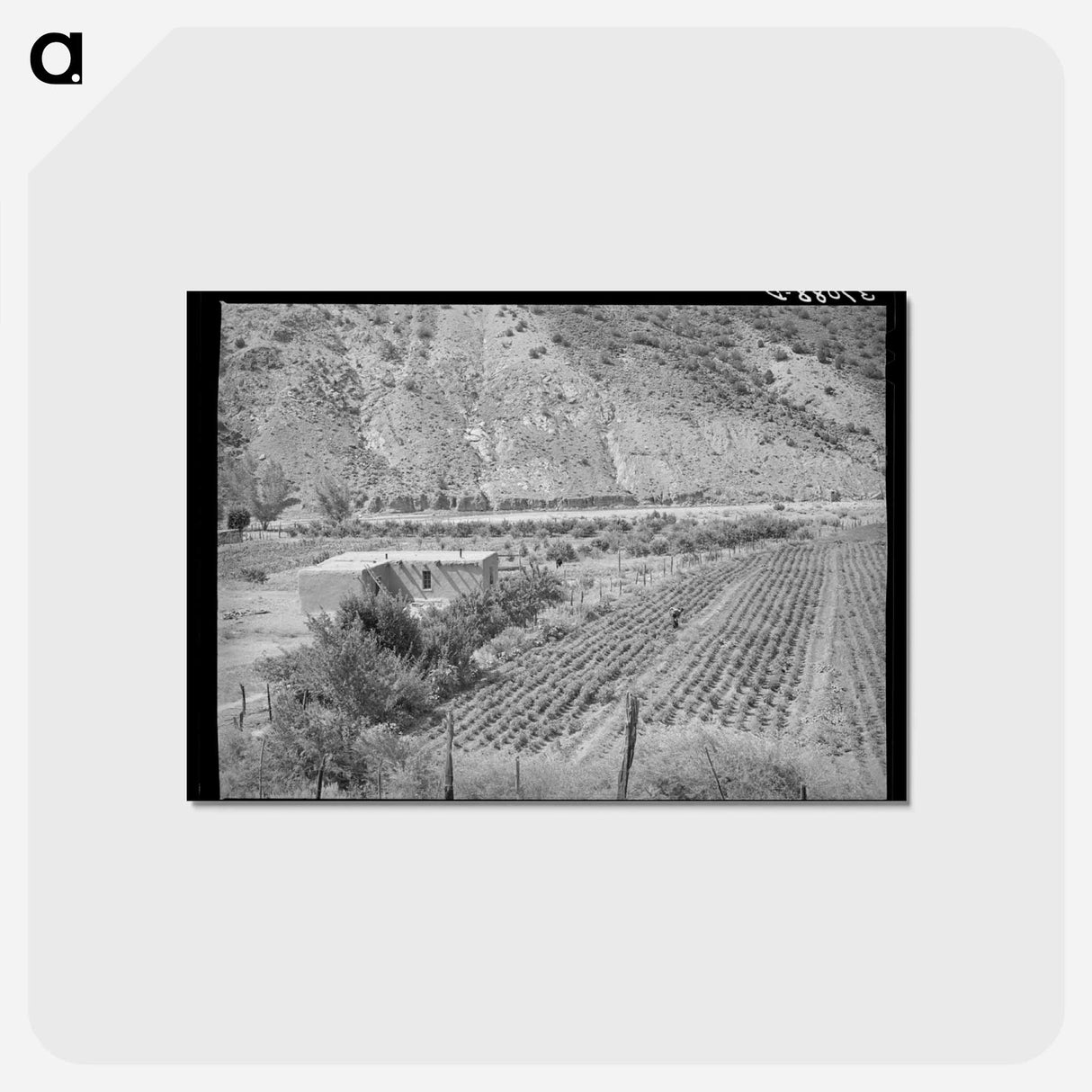 アートポストカード-Adobe House and Chili Field
- ラッセル リー Postcard.
