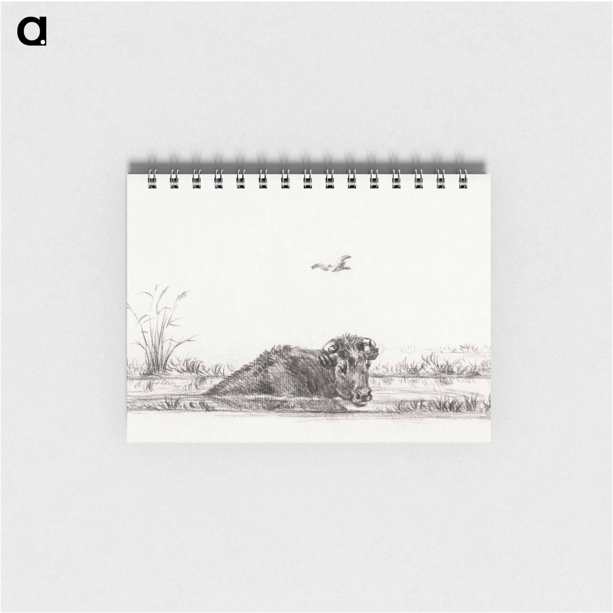 Cow in the water - ジャン ベルナール Memo.