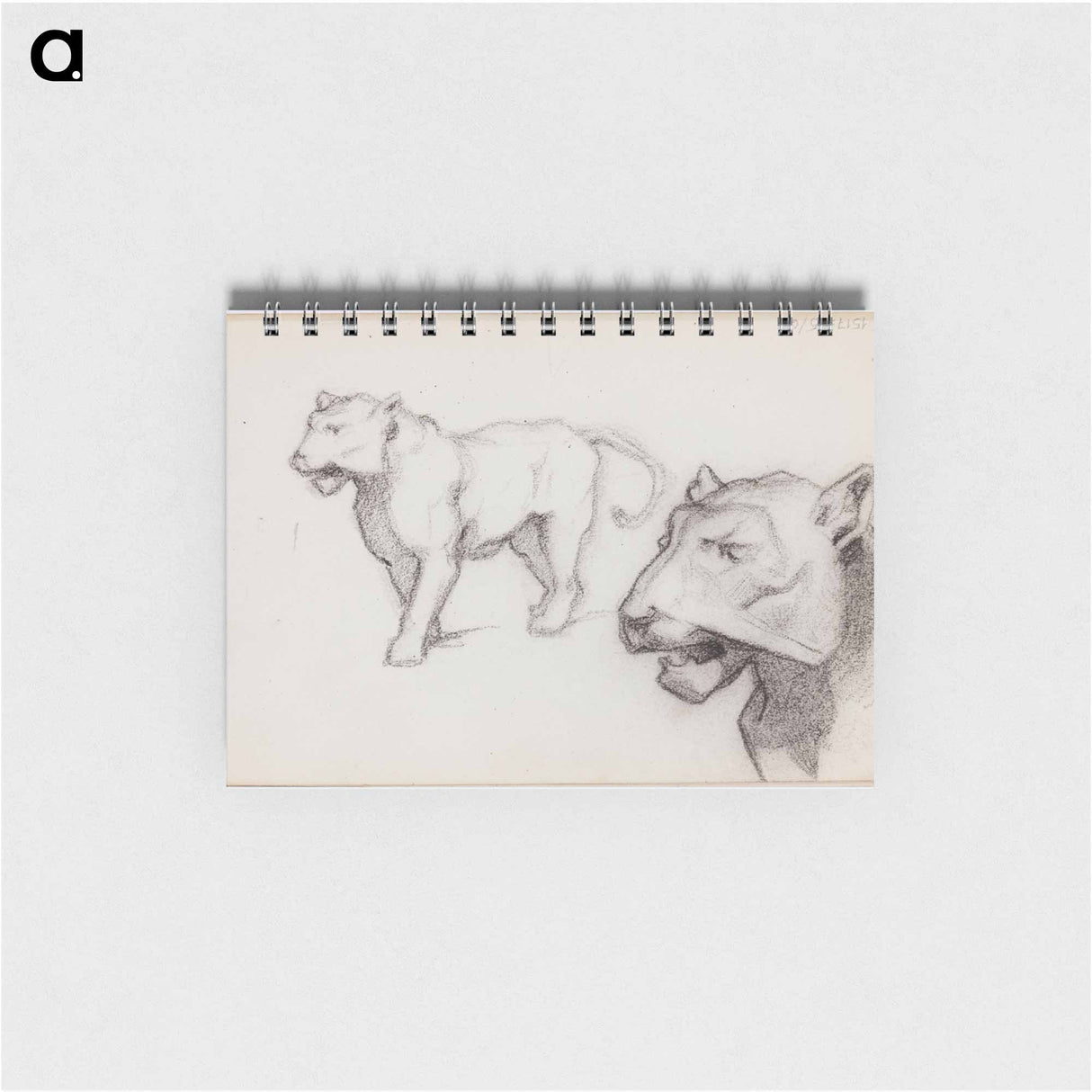 (unknown) part of a sketchbook - アルバート エーデルフェルト Memo.