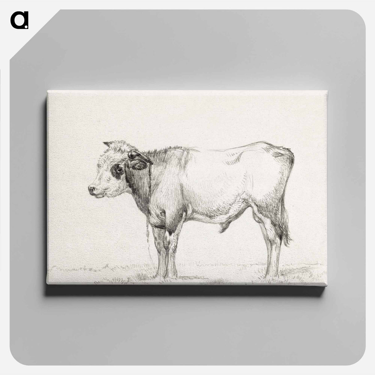 アートパネル-Standing young bull - ジャン ベルナール Canvas.
