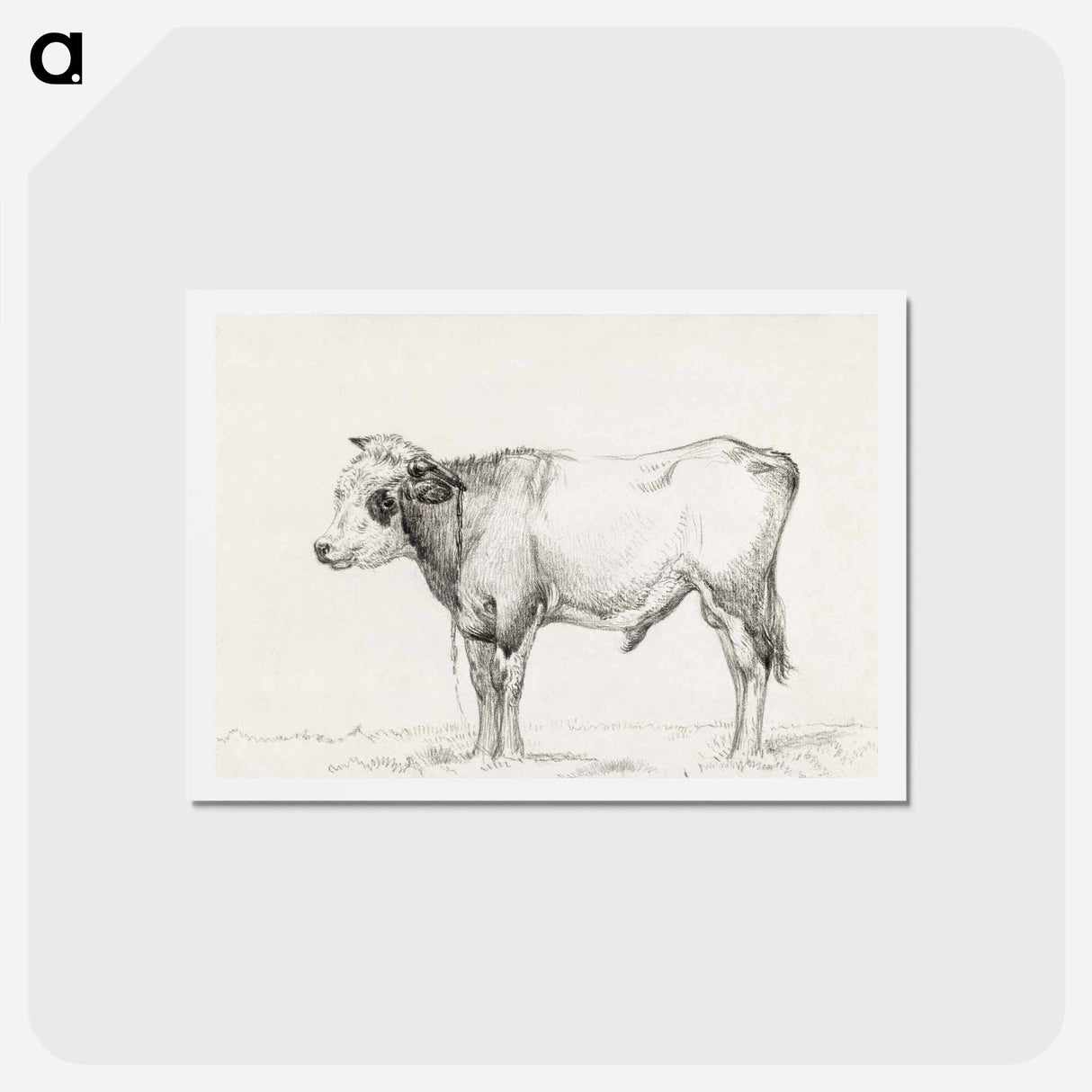 アートポストカード-Standing young bull - ジャン ベルナール Postcard.