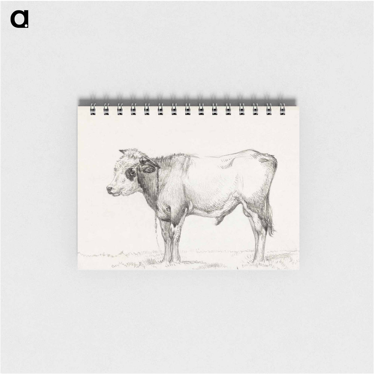 Standing young bull - ジャン ベルナール Memo.