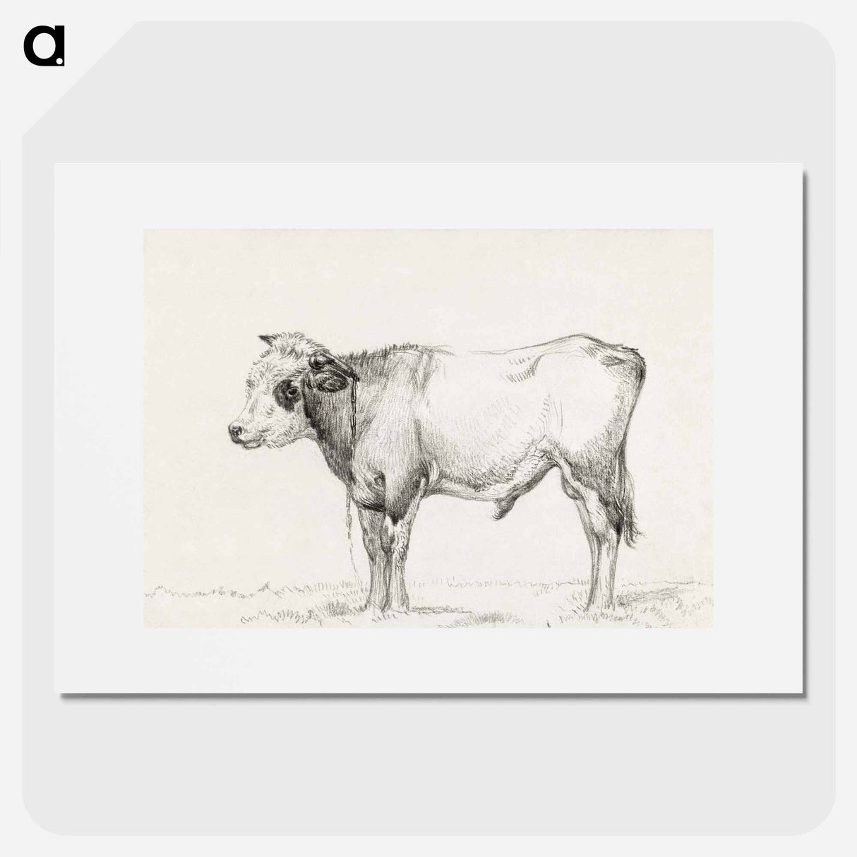 Standing young bull - Jean Bernard Poster.