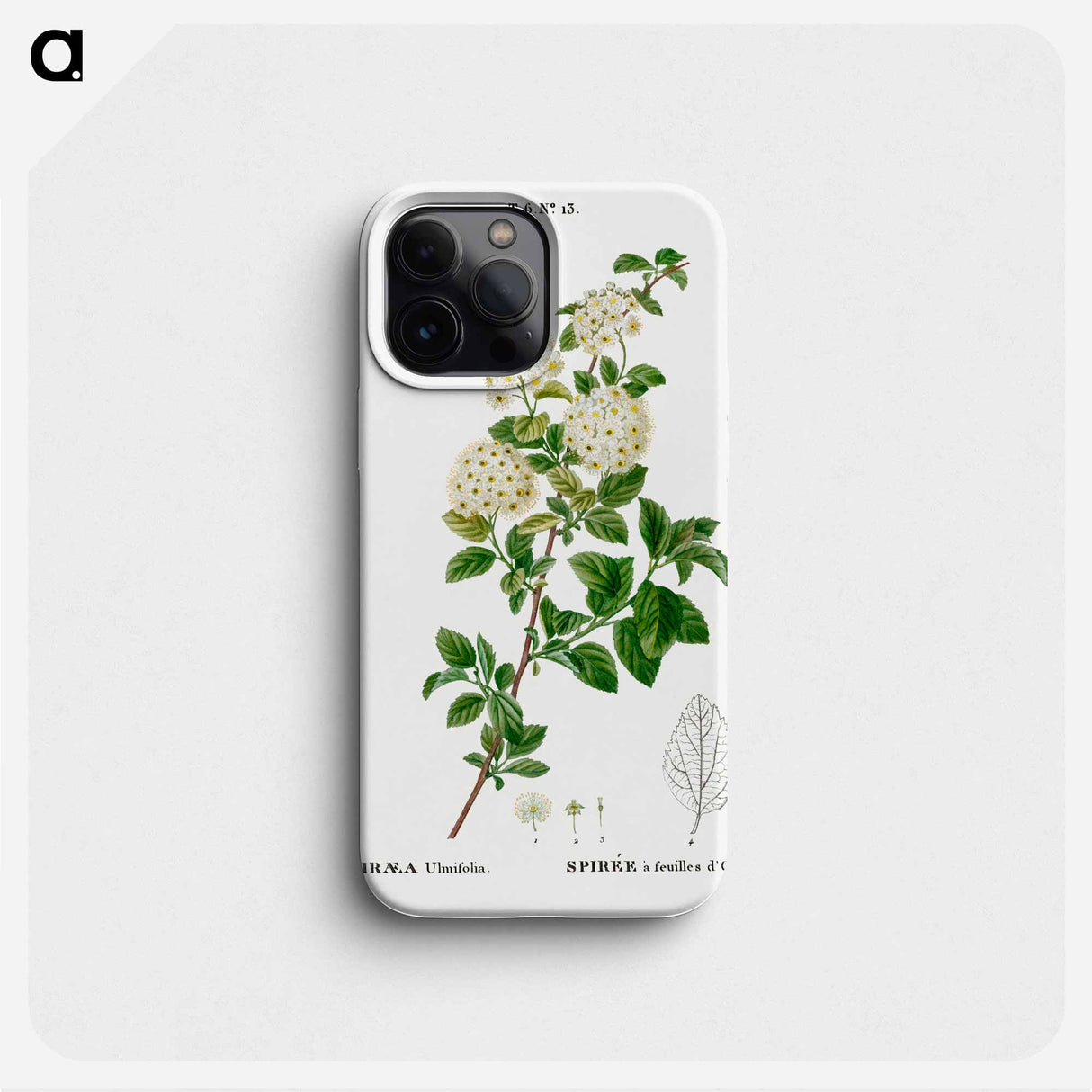 Germander meadowsweet - Pierre Joseph Redouté Phone Case.