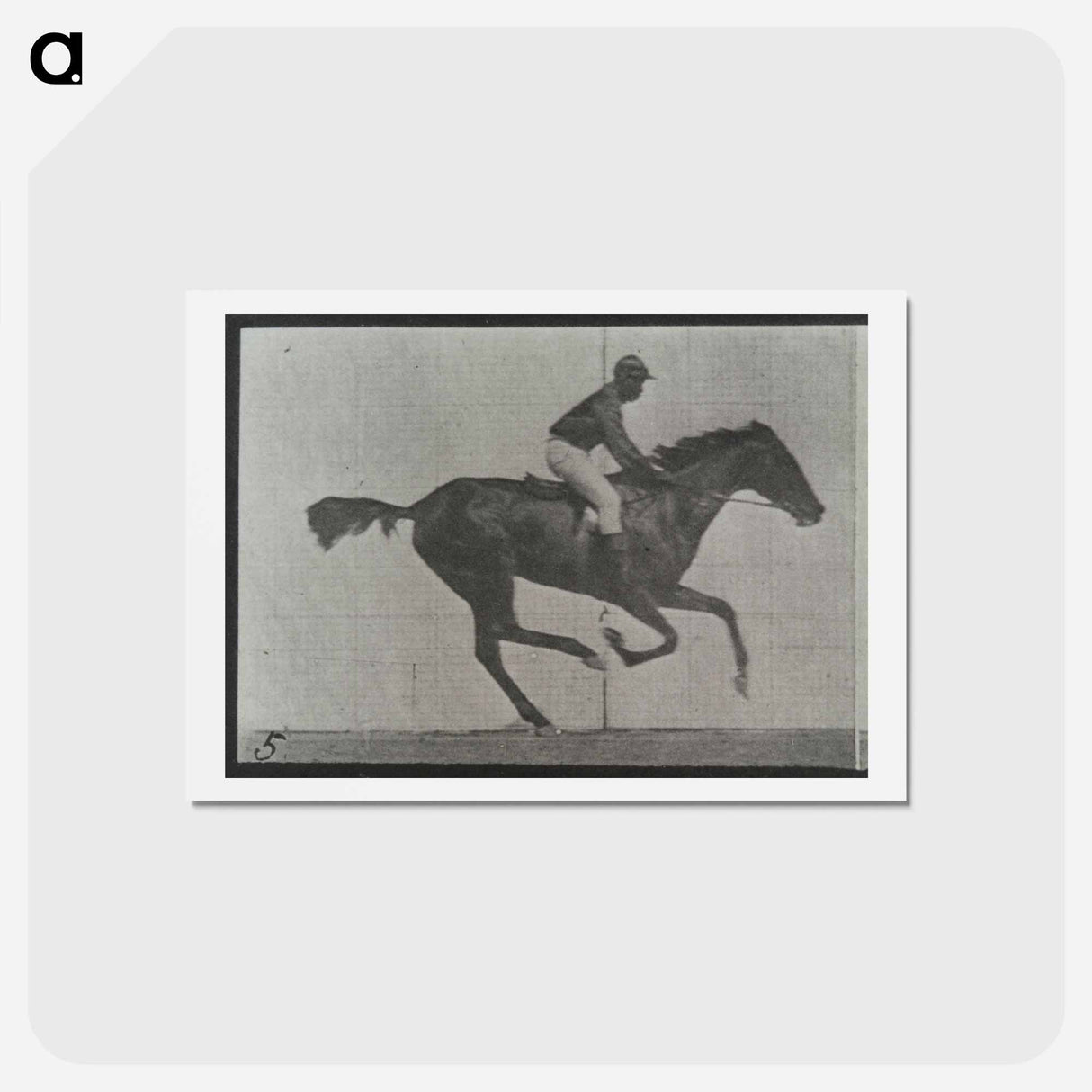 アートポストカード-Galloping Horse and Rider
- エドワード マイブリッジ Postcard.