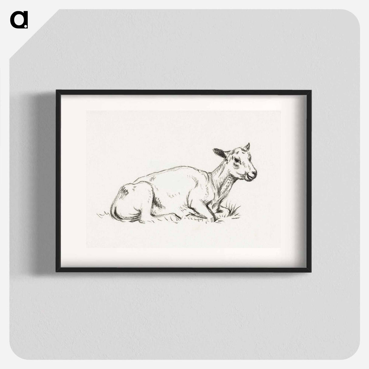 Lying shaved sheep - ジャン ベルナール Poster.