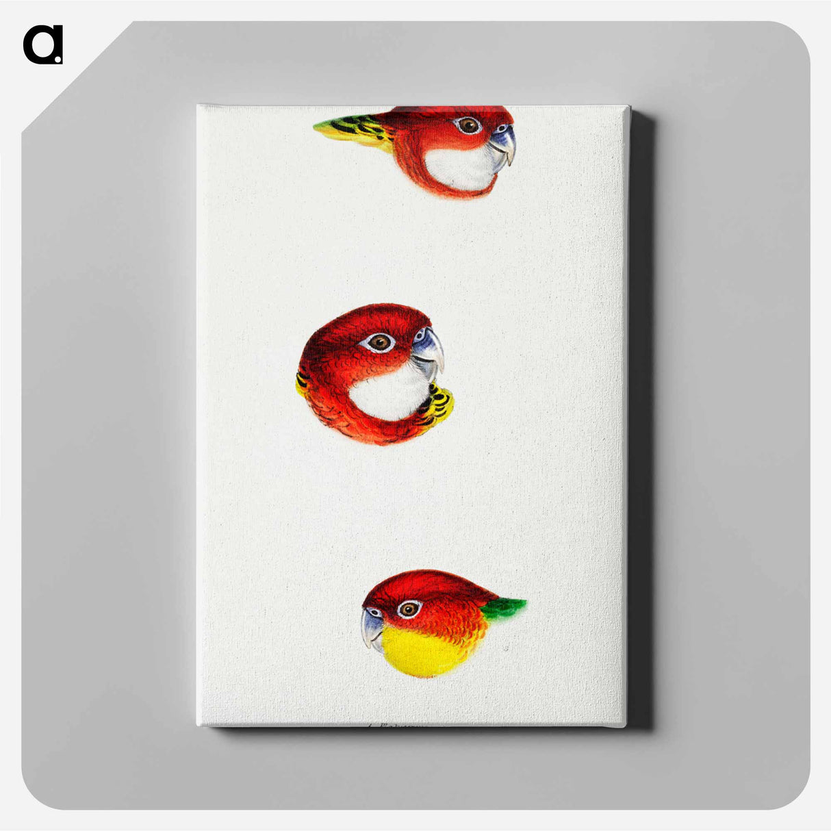 アートパネル-Australian Rosellas and Parrakeets
- ジョン グールド Canvas.