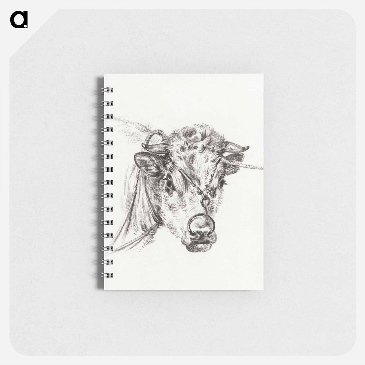 Head of a cow, with a ring through the nose - ジャン ベルナール Memo.