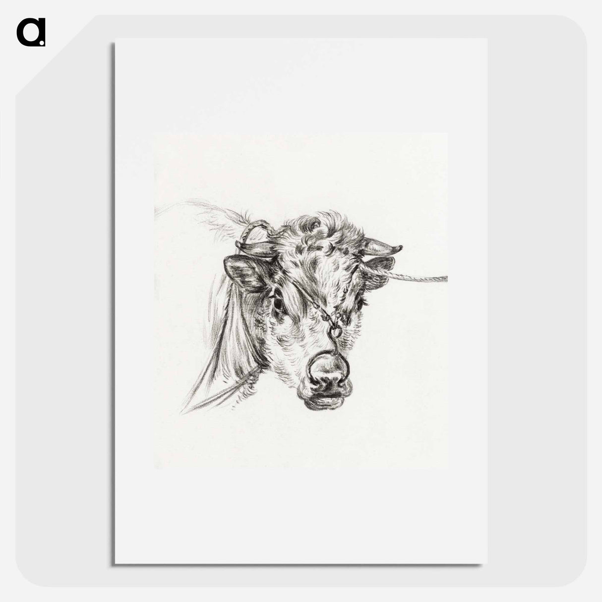 Head of a cow, with a ring through the nose - Jean Bernard Poster.