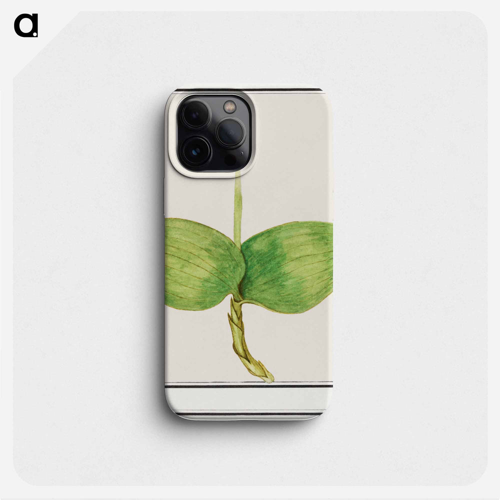 Unknown plant - アンセルムス ボエティウス デ ブート Phone Case.