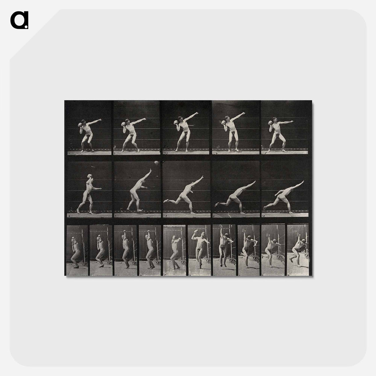 アートポストカード-Putting the Shot
- エドワード マイブリッジ Postcard.