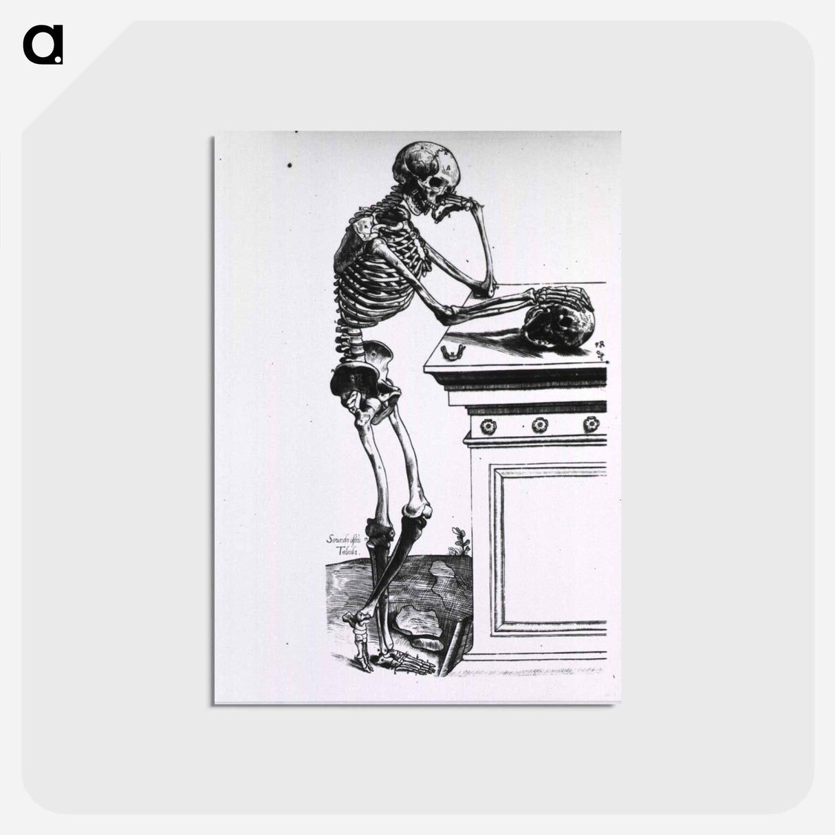 アートポストカード-Human Skeleton
- 国立医学図書館 Postcard.